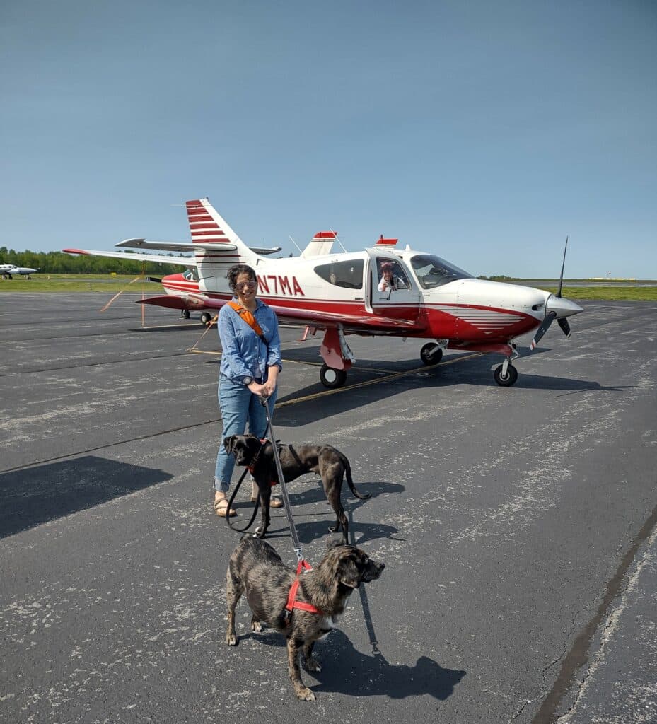 , Aviation: Emmener les chiens en vacances dans votre avion idéal