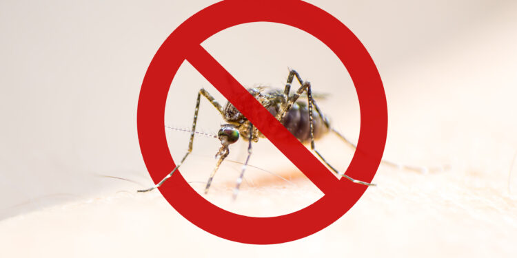 , Aérien: Guide de l’aviation d’affaires 2024 sur le virus Zika et la dengue